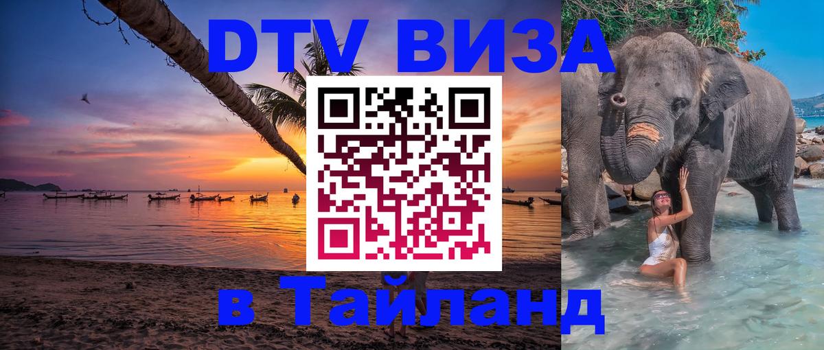 Оформление DTV визы под ключ: стоимость и тарифы, только загранпаспорт - 